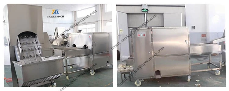 product-750-300 product-750-300