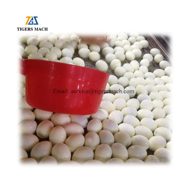 Boiled Egg Shelling Machine to remove eggshell from egg peeling and shelling machinery