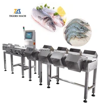 Kemer Ağırlık Derecelendirme Makinesi